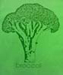 Broccoli Green