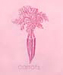 Carrots Pink