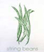 String Beans White